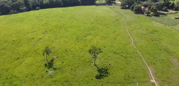 Fazenda / Sítio / Chácara à venda, 116160m² no , Laranjal Paulista