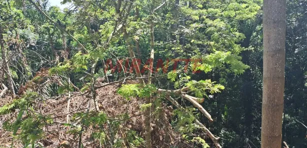Terreno / Lote / Condomínio à venda, 1100m² no Roseira, Mairiporã