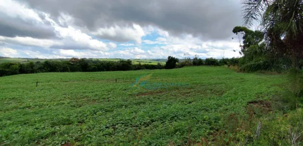 Fazenda / Sítio / Chácara à venda, 96800m² no , Guaraniaçu