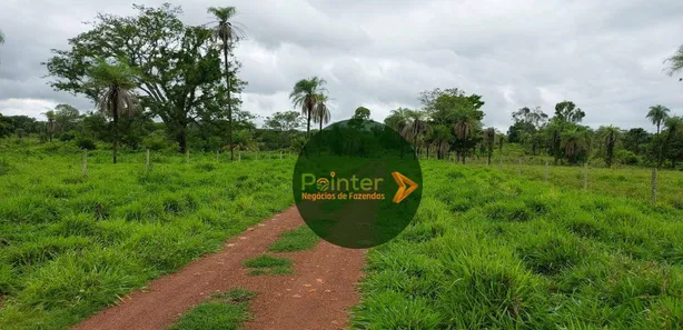 Fazenda / Sítio / Chácara com 3 Quartos à venda, 25748800m² no Parque Residencial Nova Fronteira, Gurupi