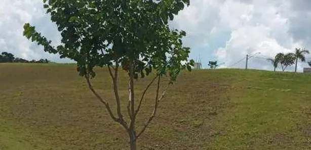 Terreno / Lote / Condomínio à venda, 1350m² no , Piedade