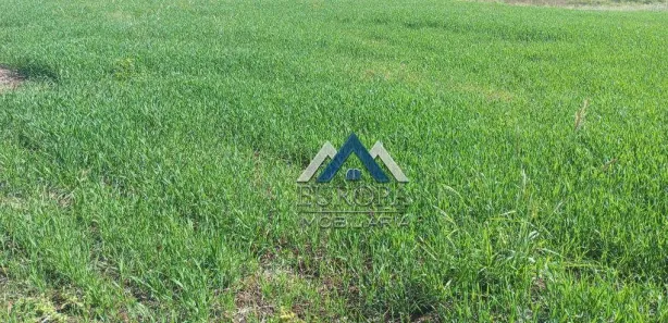 Fazenda / Sítio / Chácara à venda, 798600m² no Macuco, Cornélio Procópio