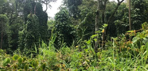Terreno / Lote / Condomínio à venda, 1056m² no Arujázinho I, II e III, Arujá