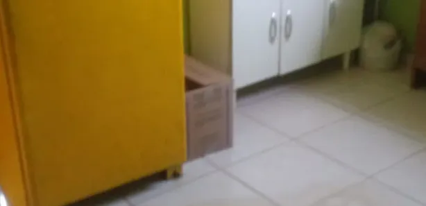 Fazenda / Sítio / Chácara com 1 Quarto à venda, 2600m² no Centro, Pirapora do Bom Jesus