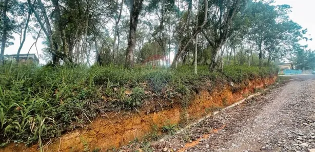 Terreno / Lote / Condomínio à venda, 2054m² no Vila Figueredo, Rio Grande da Serra