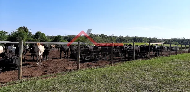 Fazenda / Sítio / Chácara à venda, 1415700m² no , Laranjal Paulista