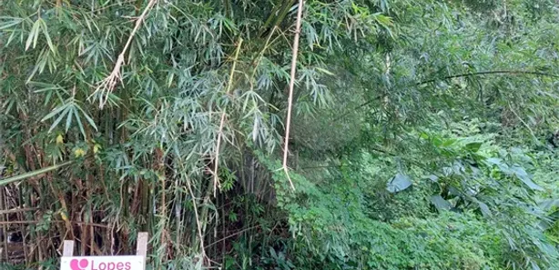 Terreno / Lote / Condomínio à venda, 487m² no Toque-Toque Grande, São Sebastião
