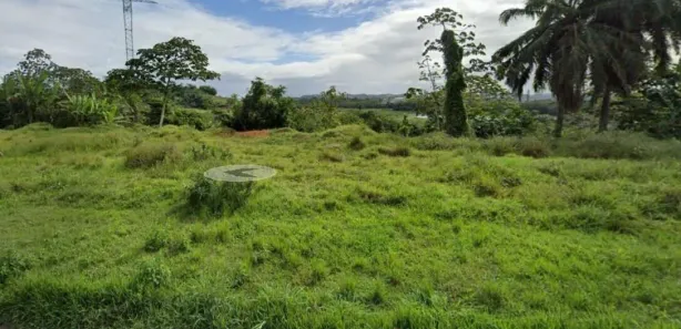 Terreno / Lote Comercial à venda, 45003m² no Distrito Industrial, Candeias