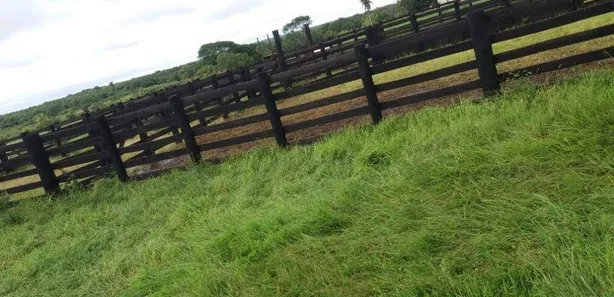 Fazenda / Sítio / Chácara com 3 Quartos à venda, 110m² no Gurupi, Gurupi