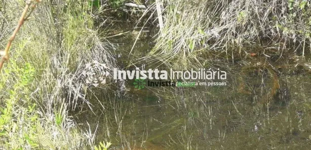 Fazenda / Sítio / Chácara à venda, 938m² no , Rio Sono