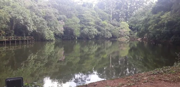 Fazenda / Sítio / Chácara com 4 Quartos para venda ou aluguel, 505m² no Jardim Mediterrâneo, Cotia