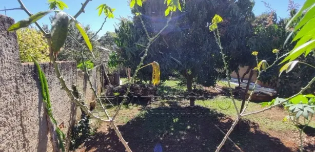 Fazenda / Sítio / Chácara com 2 Quartos à venda, 200m² no Jd Master, Araçoiaba da Serra