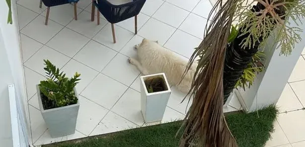 Imagem do imóvel
