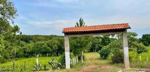 Fazenda / Sítio / Chácara com 4 Quartos à venda, 36300m² no , Guaraniaçu