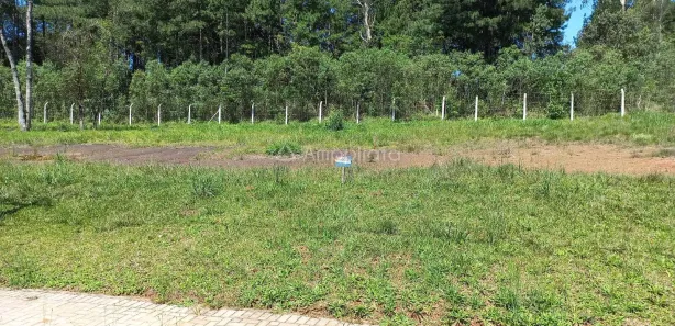 Terreno / Lote / Condomínio à venda, 384m² no Araçatuba, Campina Grande do Sul