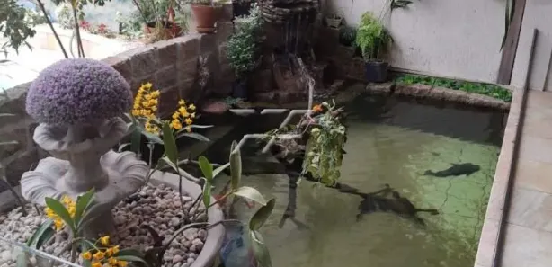 Casa com 2 Quartos para alugar, 132m² no Jardim Floridiana, Rio Claro