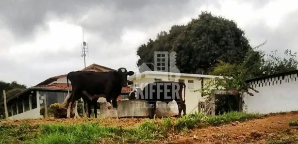 Fazenda / Sítio / Chácara com 4 Quartos à venda, 300m² no Rosa Machado, Piraí
