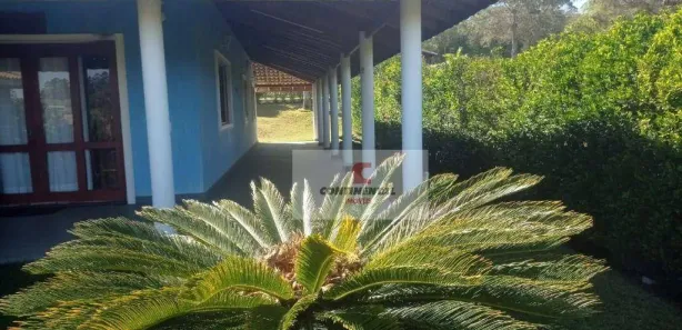Fazenda / Sítio / Chácara com 3 Quartos à venda, 290m² no Floresta, Alambari
