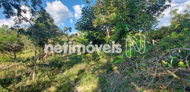 Fazenda / Sítio / Chácara à venda, 154373m² no Área Rural de Santa Luzia, Santa Luzia