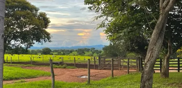 Terreno / Lote / Condomínio à venda, 1000m² no , Alumínio