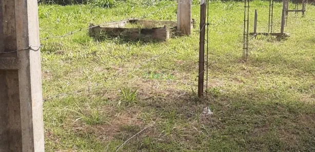 Fazenda / Sítio / Chácara à venda, 2500m² no , Ibiporã