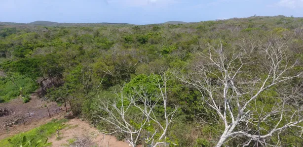 Terreno / Lote / Condomínio à venda, 600m² no José Gonçalves, Armação dos Búzios