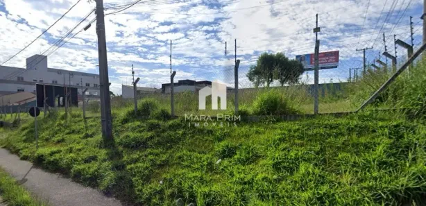 Terreno / Lote / Condomínio para alugar, 1200m² no Cruzeiro, São José dos Pinhais