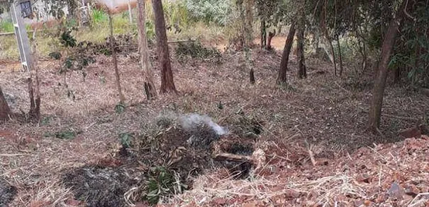 Fazenda / Sítio / Chácara à venda, 3000m² no Condomínio Horizontal Marajoara, Ibiporã