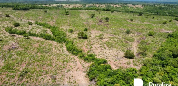 Fazenda / Sítio / Chácara à venda, 595m² no , Cristalândia