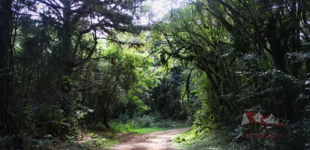 Fazenda / Sítio / Chácara à venda, 20600m² no Área Rural de Fazenda Rio Grande, Fazenda Rio Grande