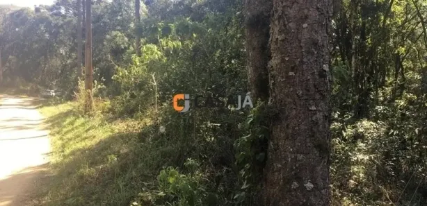 Fazenda / Sítio / Chácara com 1 Quarto à venda, 100m² no , Contenda