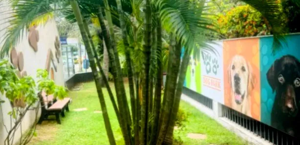 Apartamento com 2 Quartos à venda, 80m² no Candeal, Salvador