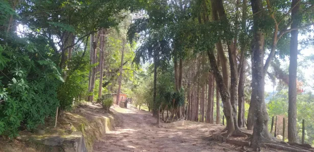 Fazenda / Sítio / Chácara com 5 Quartos à venda, 200m² no Dona Catarina, Mairinque