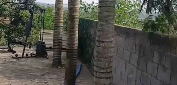 Fazenda / Sítio / Chácara com 3 Quartos à venda, 1000m² no Santa Maria III, Rio das Pedras