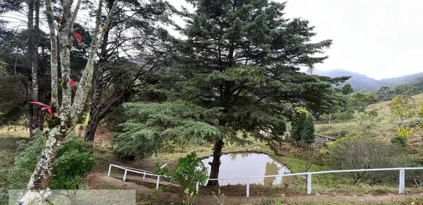 Fazenda / Sítio / Chácara com 3 Quartos à venda, 200m² no Palmares, Paty do Alferes