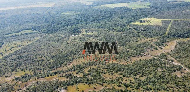 Fazenda / Sítio / Chácara à venda, 16165600m² no Centro, Cristalândia