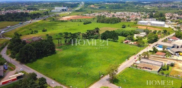 Terreno / Lote / Condomínio para alugar, 20750m² no Rio Pequeno, São José dos Pinhais
