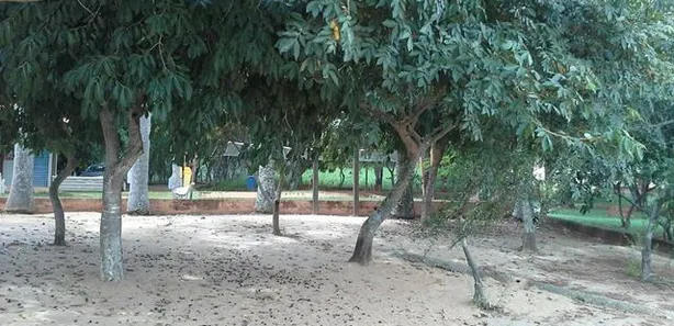 Terreno / Lote / Condomínio à venda, 1038m² no Balneário Quintas do Lago, Cláudio