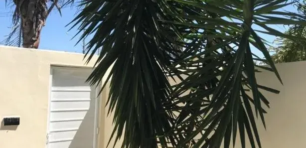 Casa com 3 Quartos à venda, 90m² no Pontinha, Araruama