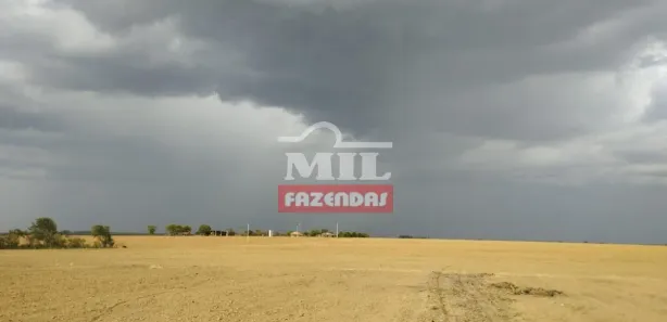 Fazenda / Sítio / Chácara à venda, 500m² no Setor Central, Ponte Alta do Tocantins