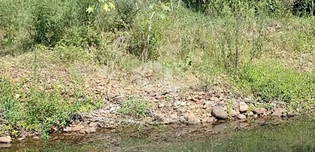 Fazenda / Sítio / Chácara à venda, 6640m² no Arroio Grande, Santa Maria