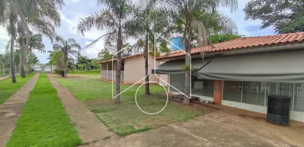 Fazenda / Sítio / Chácara com 3 Quartos para alugar, 5000m² no Sítios de Recreio Morada do Sol, Marília