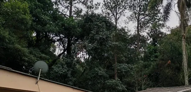 Fazenda / Sítio / Chácara com 4 Quartos à venda, 456m² no Vila Rosemeire, Franco da Rocha