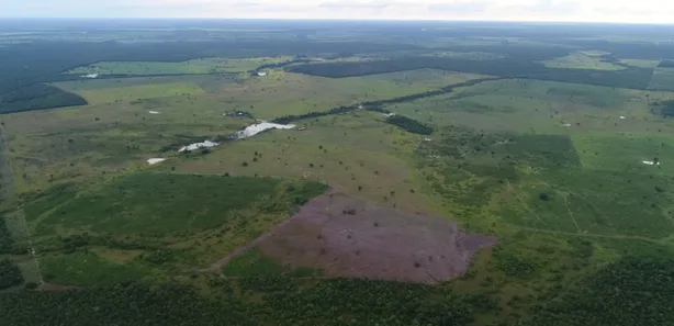 Fazenda / Sítio / Chácara à venda, 1388m² no Setor Central, Lagoa da Confusão