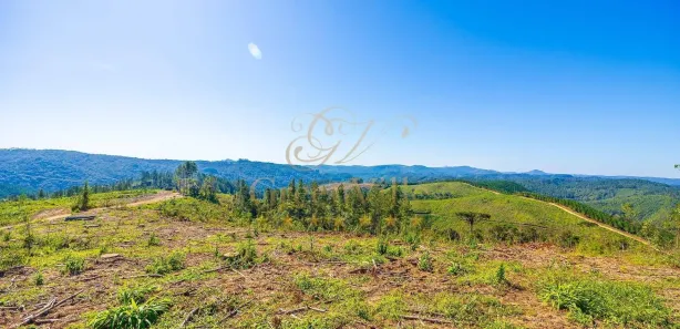 Fazenda / Sítio / Chácara com 1 Quarto à venda, 2693786m² no Centro, Campo Largo