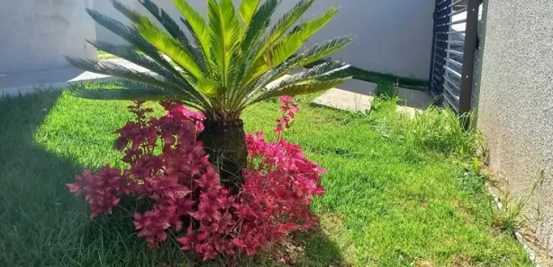 Casa com 2 Quartos à venda, 85m² no Itaqui, Campo Largo
