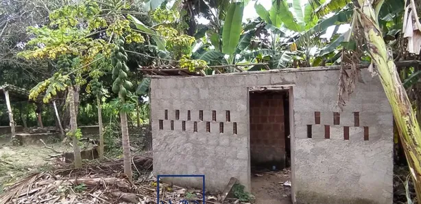 Fazenda / Sítio / Chácara com 3 Quartos à venda, 2000m² no , Bananeiras