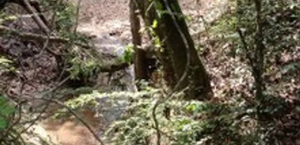 Fazenda / Sítio / Chácara com 3 Quartos à venda, 5000m² no Parque da Barragem Setor 08, Águas Lindas de Goiás