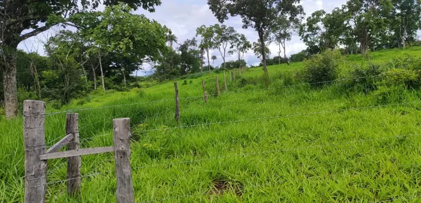 Fazenda / Sítio / Chácara com 3 Quartos à venda, 363000m² no Bezerra, Formosa