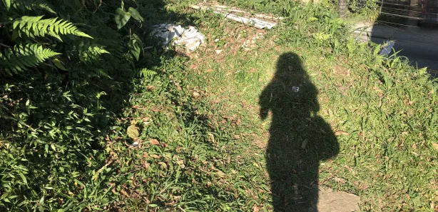 Terreno / Lote / Condomínio à venda, 6698m² no Castelanea, Petrópolis